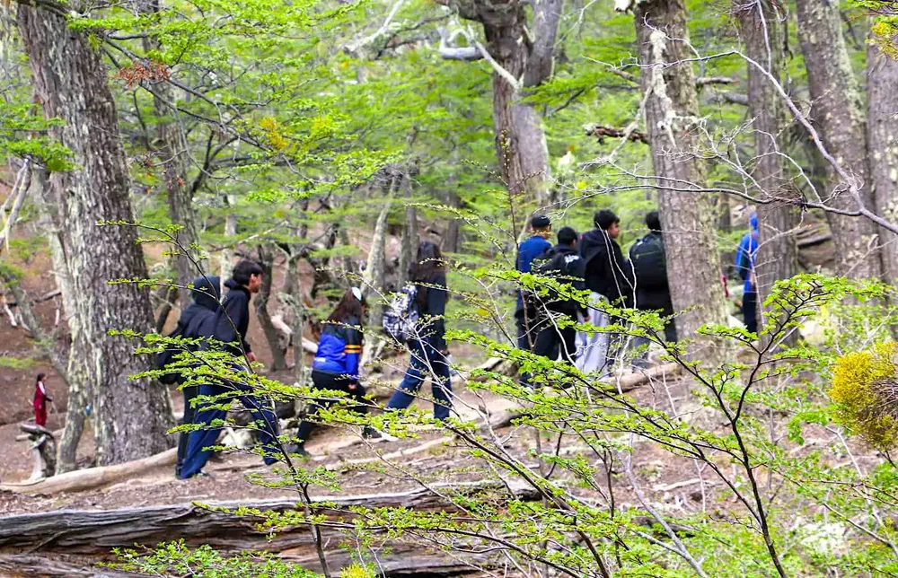 bosque duendes paseo
