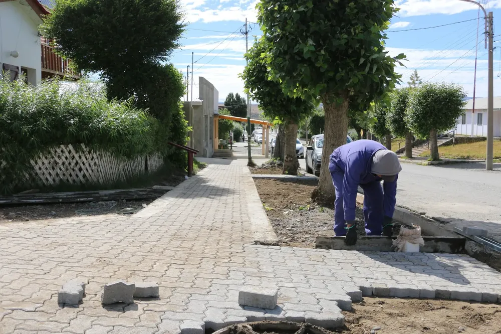 WhatsApp Image 2024-02-20 at 13.14.54